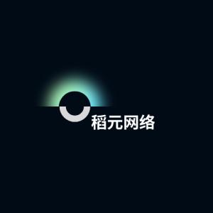 稻元网络